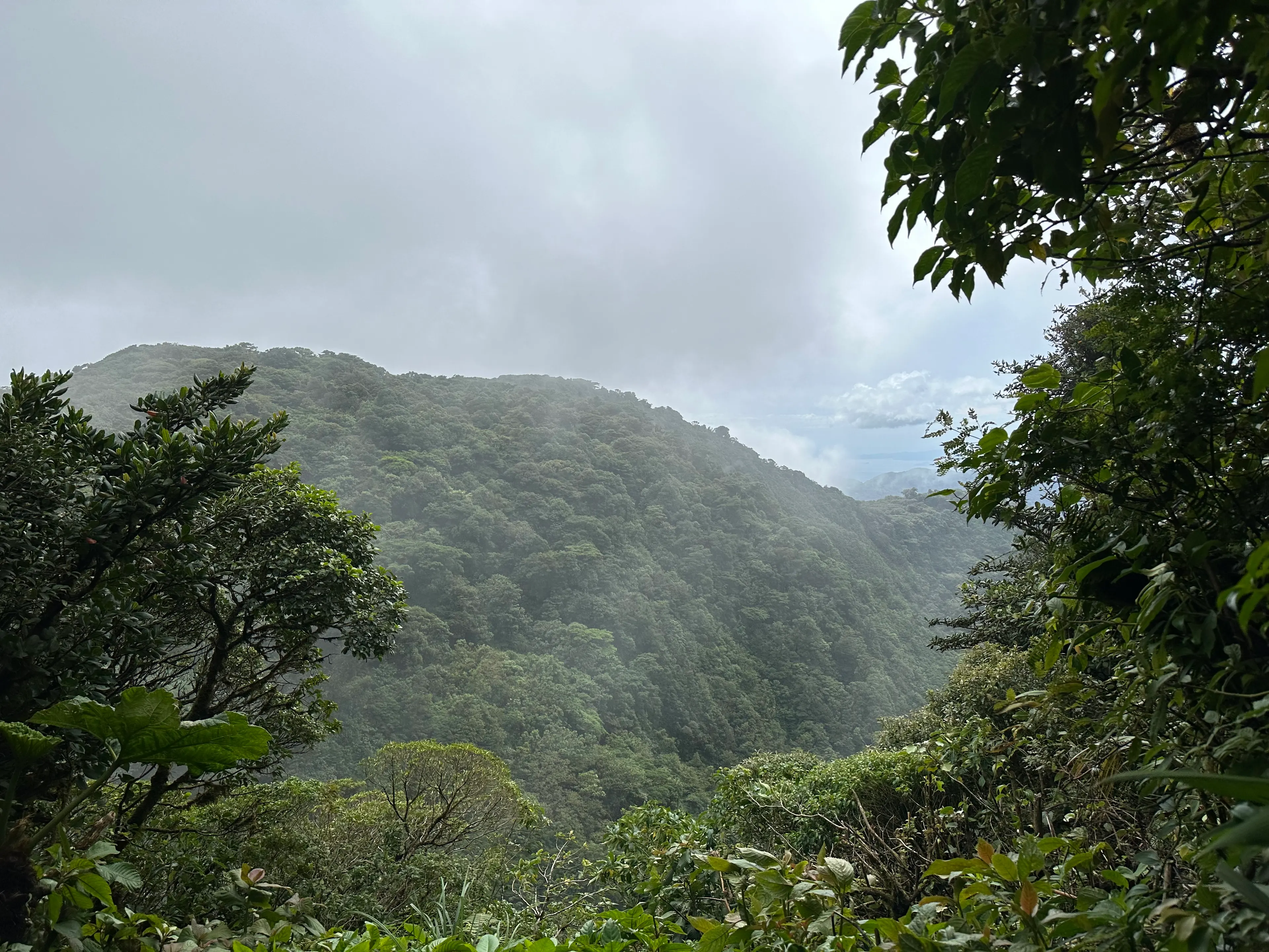 Mountain range in Monte Verde, Costa Rica.